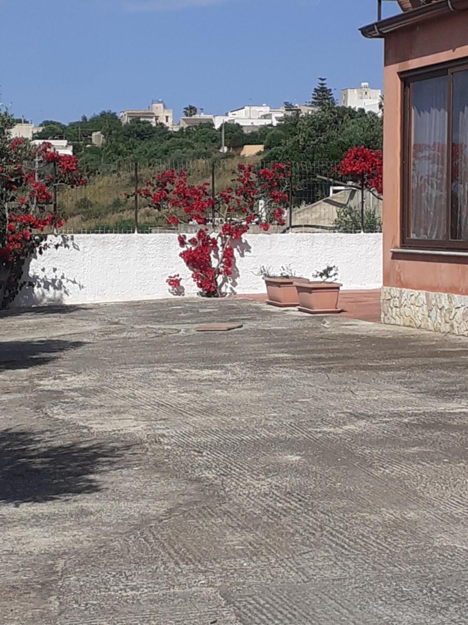 מרסאלה Panorama Casa Vacanze מראה חיצוני תמונה